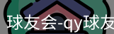 qy球友会